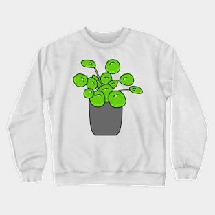 Pannenkoekplant Pilea Peperomioides Color Crewneck Sweatshirt